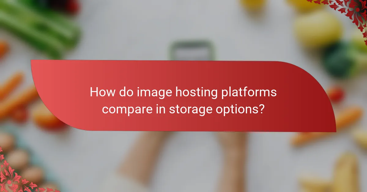 How do image hosting platforms compare in storage options?