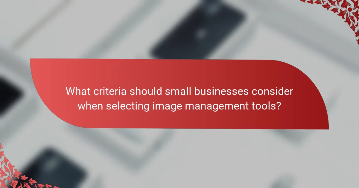 What criteria should small businesses consider when selecting image management tools?